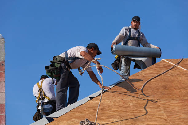 Best Roof Repair Specialists  in Baraga, MI