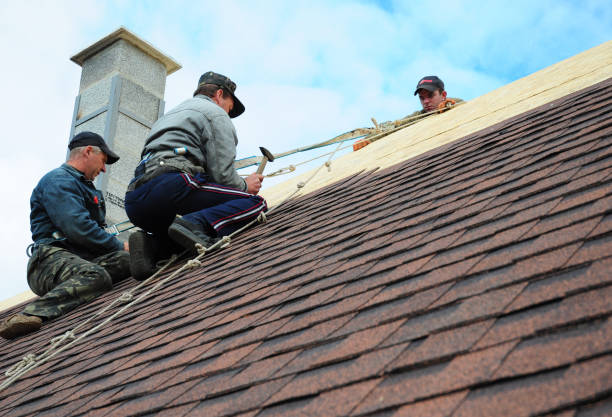Best New Roof Installation  in Baraga, MI